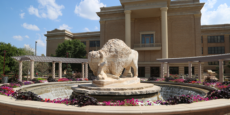 Buffalo sculpture and fountain